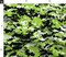 Zombie Green Digital Camo Neon Custom Printed Fabric by Spoonflower Various Fabrics by the Yard or Fat Quarter